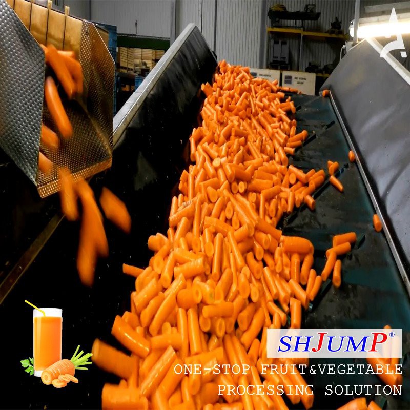 Wortelverwerkingslijn