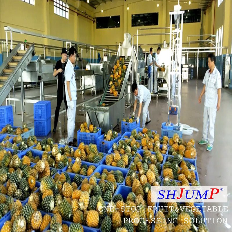 Ananassap verwerkingslijn