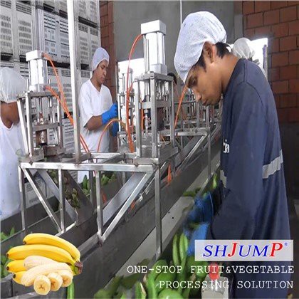 Bananenpuree verwerkingslijn