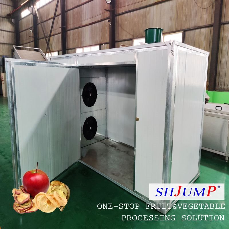 Verwerkingslijn voor gedroogde appelschijfjes