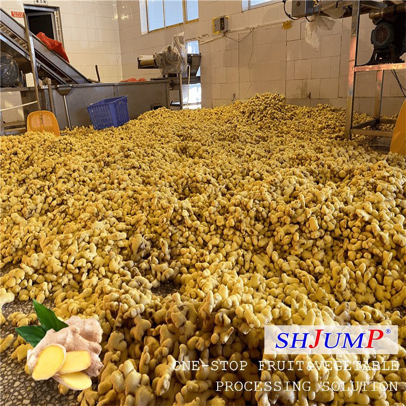 Gemberverwerkingslijn