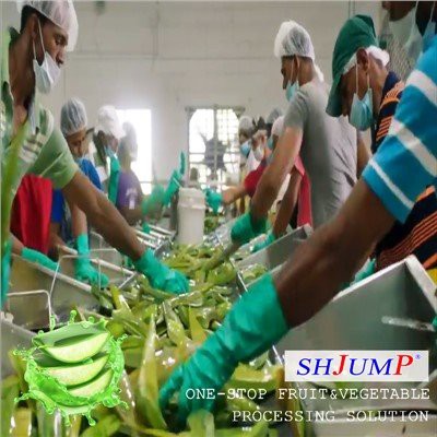 Aloë Vera verwerkingslijn