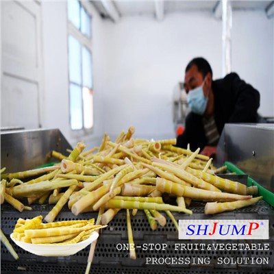 Bamboo Shoot verwerkingslijn