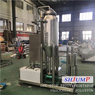 Sap Vacuüm Ontgasser