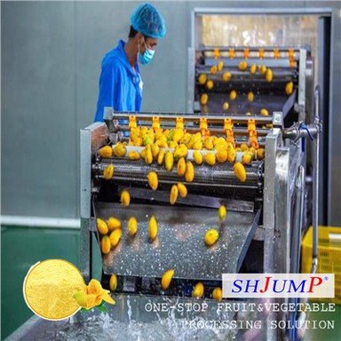 Mangopoederverwerkingslijn