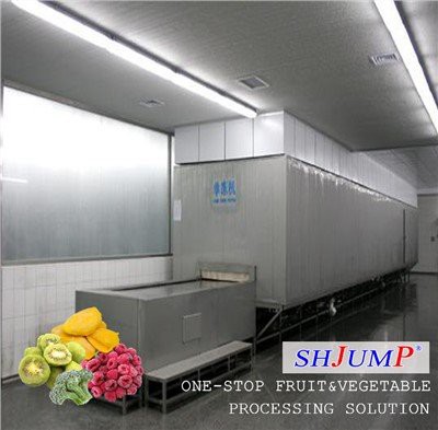 Verwerkingslijn voor snel ingevroren fruit