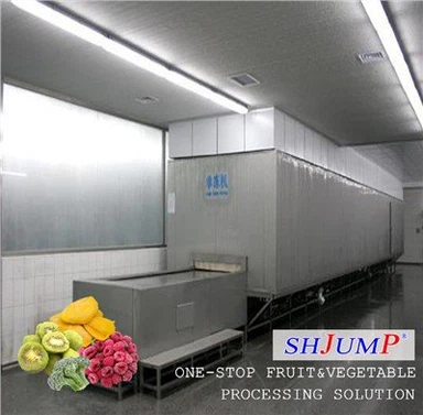 Verwerkingslijn voor snel ingevroren fruit