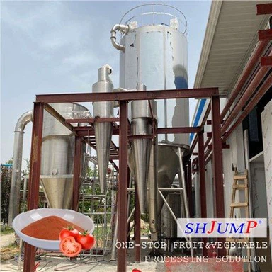 Tomatenpoederverwerkingslijn