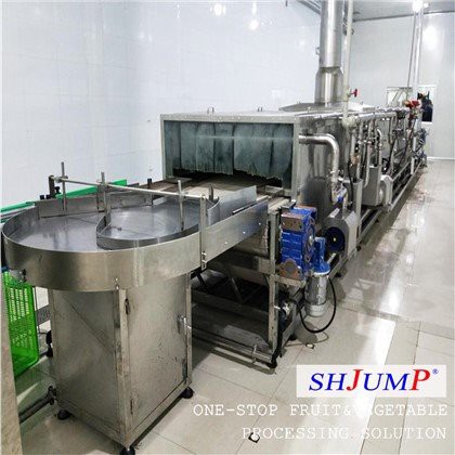 Tunnelpasteurisatiemachine