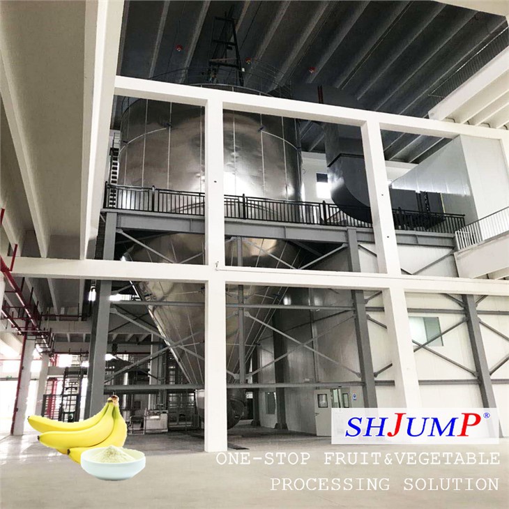 Bananenpoederverwerkingslijn