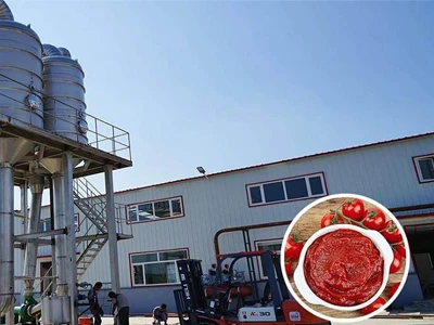 Middelgrote productielijn voor tomatenpuree in Hebei, China